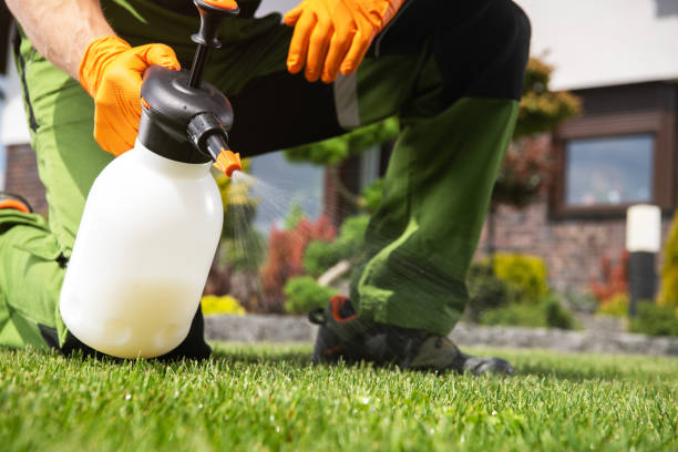 Pest Control for Restaurants in Hudson Bend, TX