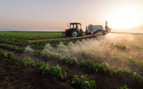 Best Mosquito Control Services  in Hudson Bend, TX