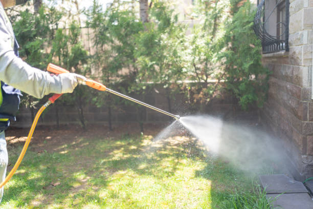 Best Exterminator Services  in Hudson Bend, TX
