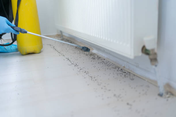 Hudson Bend, TX Pest Control Company